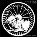 Iride Vendesi Gruppo