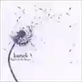 Kunek Flight Of The Flynns