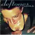 Deftones Around The Fur