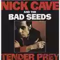 Nick Cave And The Bad Seeds Tender Prey