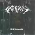 Caninus Now The Animals Have A Voice