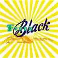 Frank Black Frank Black