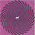 Deerhunter Cryptograms