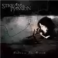 Stream Of Passion Embrace The Storm