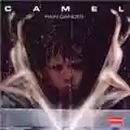 Camel Rain Dances