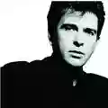 Peter Gabriel So