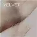 Velvet Velvet