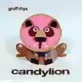 Gruff Rhys Candylion