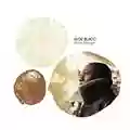 Aloe Blacc Shine Through