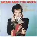Adam and The Ants Prince Charming