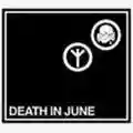Death In June The World That Summer