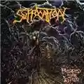 Suffocation Pierced From Within