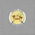 Bright Eyes Cassadaga