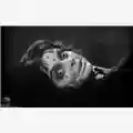 Mario Bava La Maschera Del Demonio