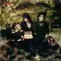 CocoRosie The Adventures of Ghosthorse and Stillborn