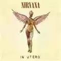 Nirvana In Utero