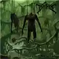 Degrade Lost Torso Found