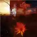 To-Mera Transcendental