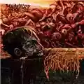 Guttural Engorgement The Slow Decay Of Infested Flesh