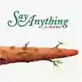 Say Anything ...Is a Real Boy