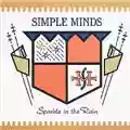 Simple Minds Sparkle In The Rain