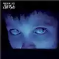 Porcupine Tree Fear Of A Blank Planet