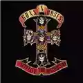 Guns N' Roses Appetite For Destruction