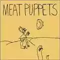 Meat Puppets In A Car