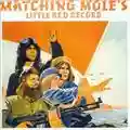 Matching Mole Little Red Record
