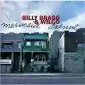 Billy Bragg & Wilco Mermaid Avenue