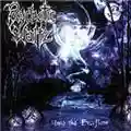 Psychotic Waltz Into the Everflow