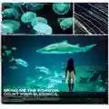 Bring Me The Horizon Count Your Blessings