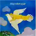 Robert Wyatt Shleep
