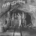 Aerosmith Night In The Ruts
