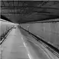 Tortoise A Lazarus Taxon [3CD+DVD]