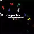 Carpacho! La fuga dei cervelli