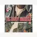 The Dandy Warhols Thirteen Tales From Urban Bohemia