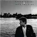 Bryan Adams Into The Fire