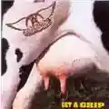 Aerosmith Get a Grip