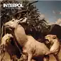Interpol Our Love To Admire