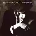 The Waterboys This Is The Sea