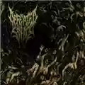 Defeated Sanity Psalms Of The Moribund
