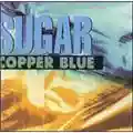 Sugar Copper Blue