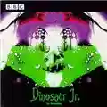 Dinosaur Jr. BBC - In Session