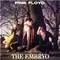 Pink Floyd Embryo