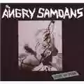 Angry Samoans Inside My Brain