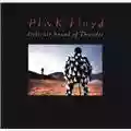 Pink Floyd Delicate Sound Of Thunder