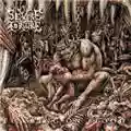 Severe Torture Feasting On Blood