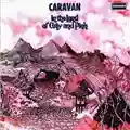 Caravan In The Land Of Grey And Pink