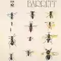 Syd Barrett Barrett